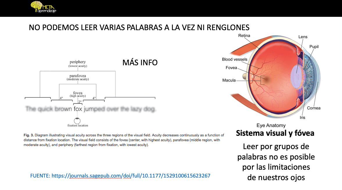 Limitaciones para leer por grupos de palabras limitaciones para leer por grupos de palabras
